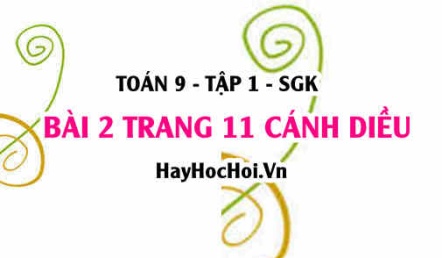 Bài 2 trang 11 Toán 9 tập 1 Cánh Diều: Phương Trình Chứa Ẩn Ở Mẫu